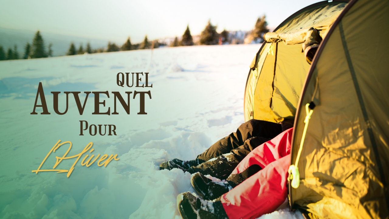 Quel auvent pour l'hiver ?